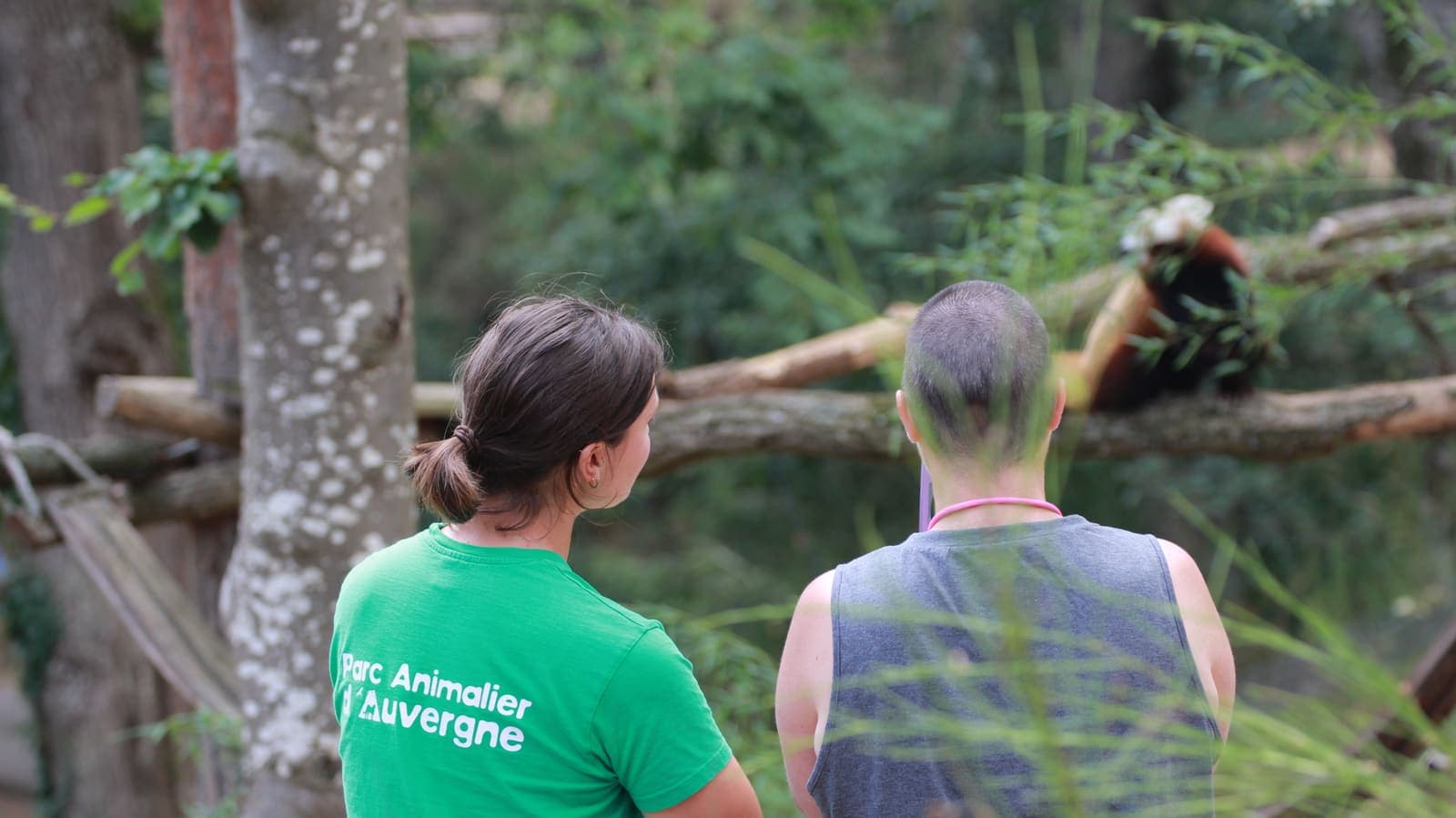 Animation publique au Parc Animalier d'Auvergne